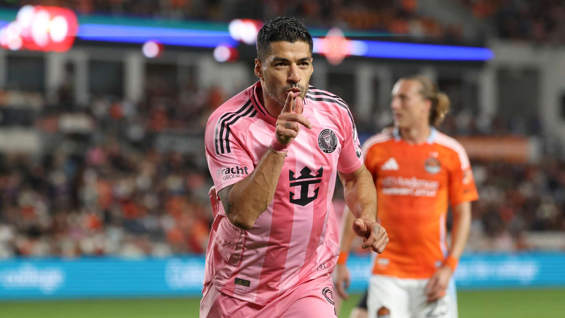 动在广东梅 动在广东梅